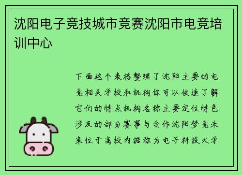沈阳电子竞技城市竞赛沈阳市电竞培训中心