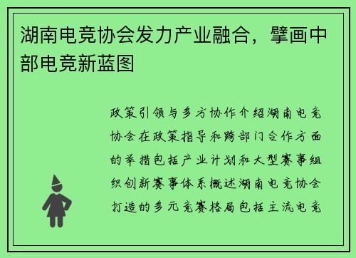 湖南电竞协会发力产业融合，擘画中部电竞新蓝图